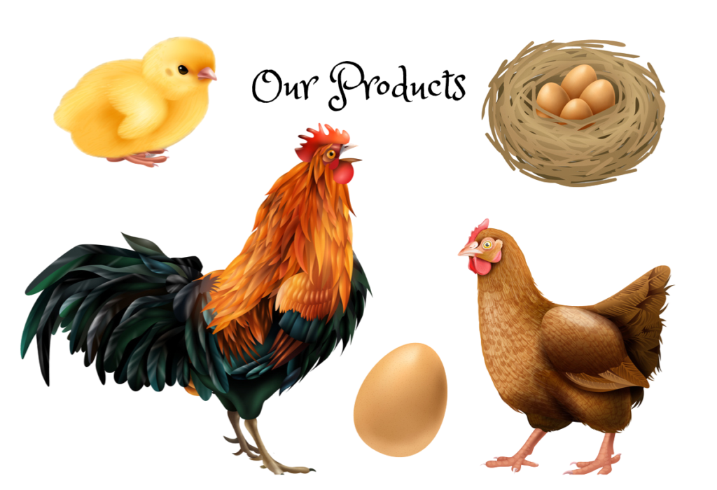 taj poultry products