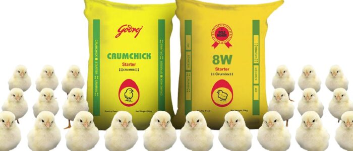 taj poultry feed